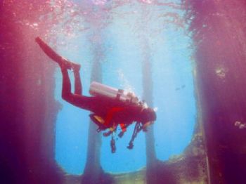Dive buddy Linda floats freely inside the Wreck of the Sa... by Robyn Churchill 